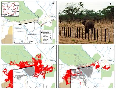 Challenges to Elephant Connectivity From Border Fences in the World's Largest Transfrontier Conservation Area